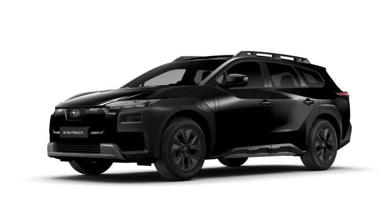 Bild zu E-OUTBACK
